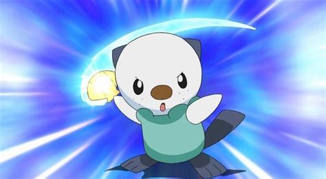 Pokémon Oshawott: Pokémon Oshawott