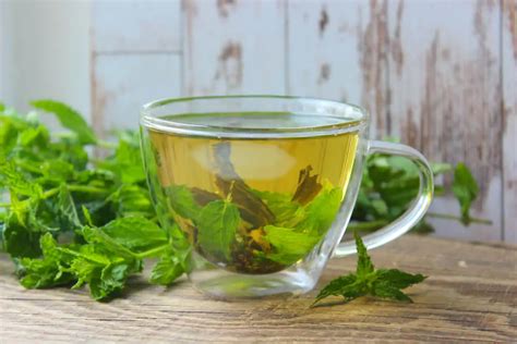 What Is Spearmint Tea? Benefits, Side Effects, Tasting Profile, And ...