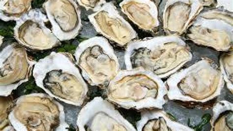 Oyster Roast | Charleston Events & Charleston Event Calendar