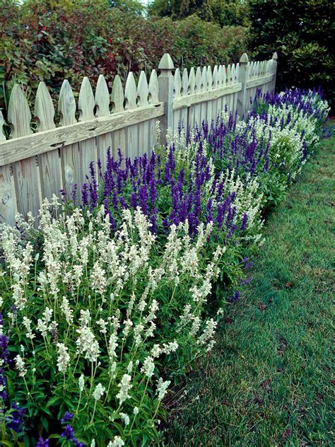 Sage | Better Homes & Gardens