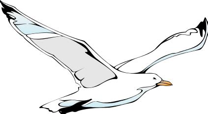 seagull clip art | Clipart Panda - Free Clipart Images