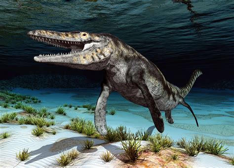 Terrifying mosasaur dominated the ocean 66 million years ago - Earth.com