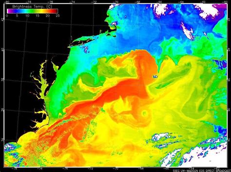 The Gulf Stream is slowing to a 'tipping point' and could disappear ...