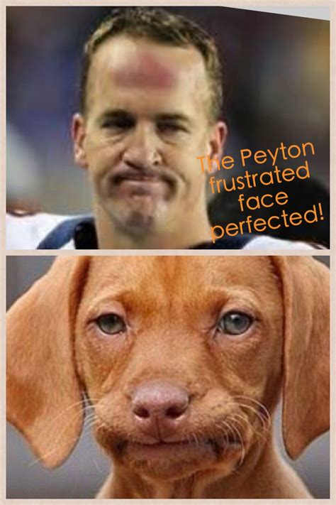 My first NFL meme! Too funny! Funny Football Memes, Funny Nfl, Funny ...