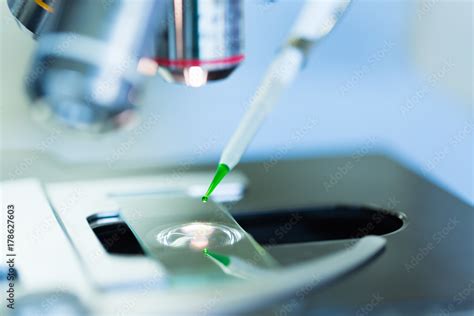 Scientist dropping chemical liquid on the slide at microscope Stock Photo | Adobe Stock