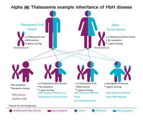 Thalassemia is Not A Gift for Your Precious Little Angel – Cytogenomix