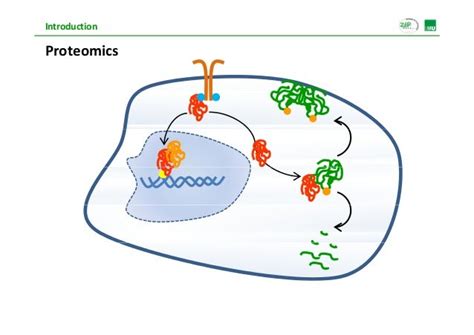 Proteomics analysis: Basics and Applications