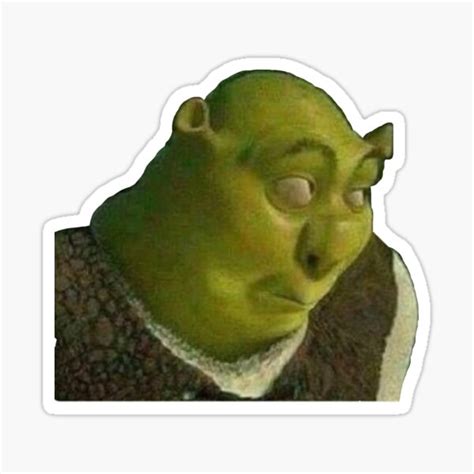 "Shrek face meme" Sticker for Sale by calamity02 | Redbubble