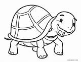 Tortuga Colorir Tartaruga Tartarughe Tortue Tortues Turtles Tortugas  sketch template