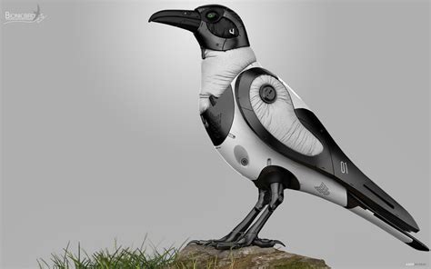 Hooded Crow - Next Generation Bionic Drone by Amin Akhshi