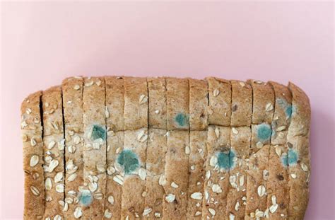 What happens if you eat moldy Bread? | Sports Health & WellBeing