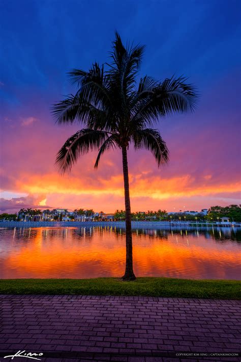 Downtown at the Gardens Explosive Sunset Coconut Tree | HDR Photography by Captain Kimo