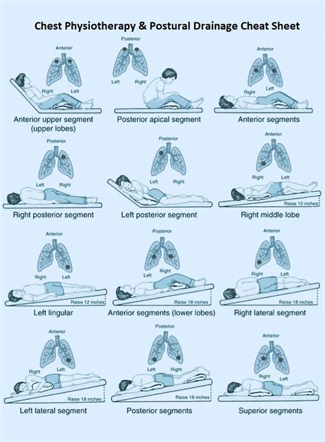 Chest Physiotherapy & Postural Drainage Positions - StudyPK