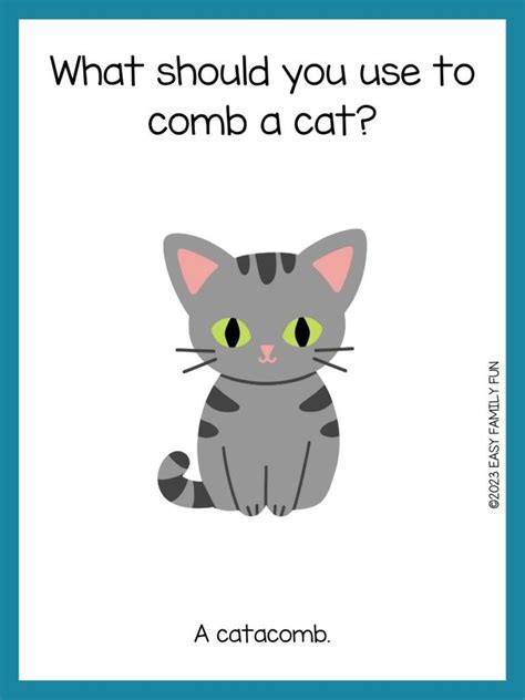 75 Best Cat Jokes That Meow With Laughs