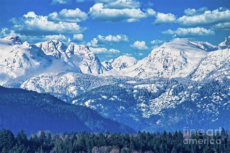 Comox Glacier Photograph by Chuck Burdick