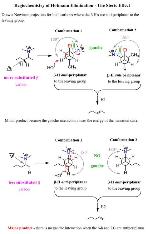 The Hofmann Elimination - Chemistry Steps