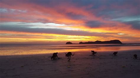 The Magic of Cape Hillsborough - North Queensland