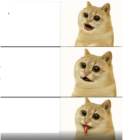 Cat Reaction Blank Template - Imgflip