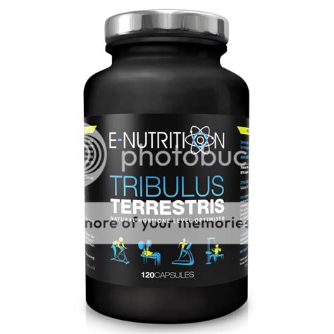 TRIBULUS - TERRESTRIS CAPSULES 120 - TESTOSTERONE BOOSTER PILLS - E ...