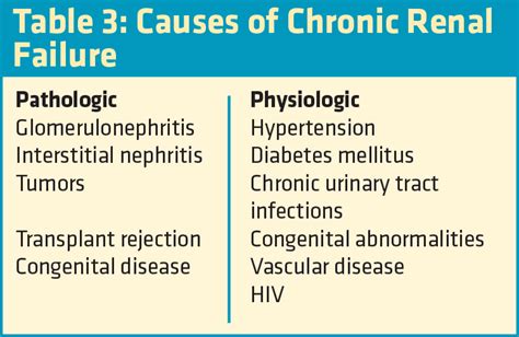 Chronic Kidney Disease Causes