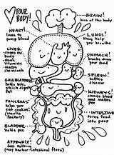 Human Body Systems Coloring Pages  Free Printable Coloring For Kids sketch template