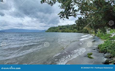 The beach of ranau lake stock photo. Image of tree, wave - 265562178