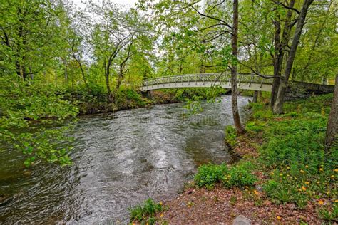 Pedestrian Wooden Bridge Over Stream Stock Photo - Image of forest ...