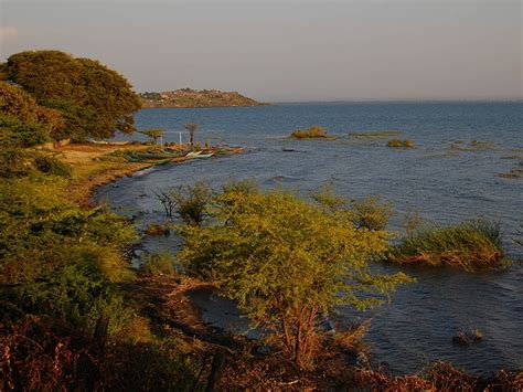 Global Climate Change Concerns for Africa’s Lake Victoria - The Leakey Foundation