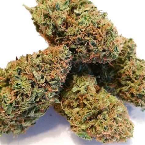 Cheese Strain Information & Reviews | Where's Weed