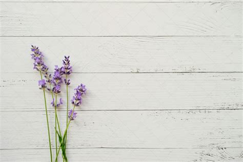 Lavender On White Wooden Background - Stock Photos | Motion Array