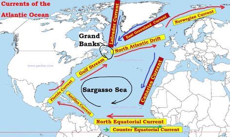 map of sargasso sea | Ocean current, Ocean, Caribbean