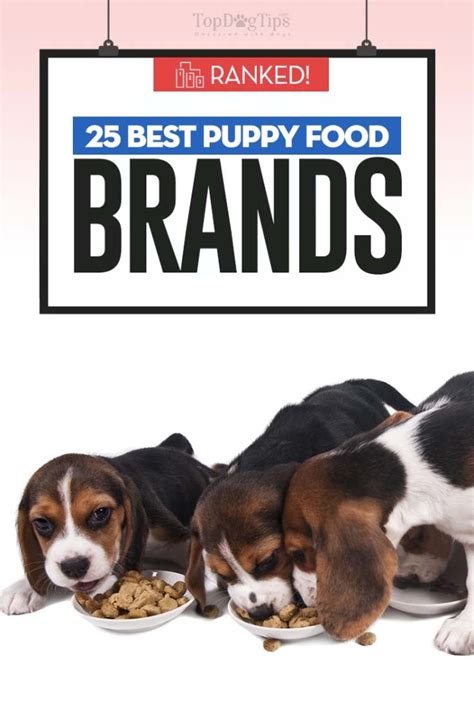 Top 25 Best Puppy Food Brands of 2021 | Dog Food Reviews & Ranks