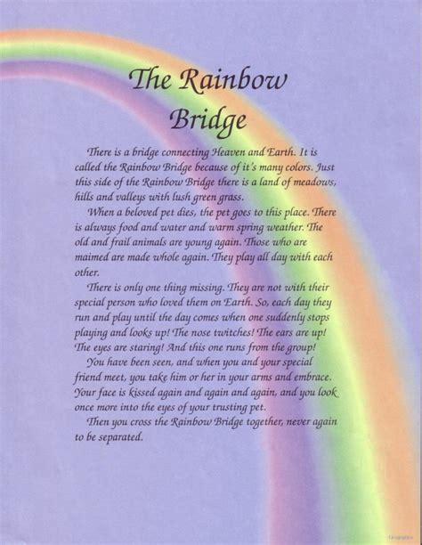 Welcome to Sookie's Place: Rainbow Bridge