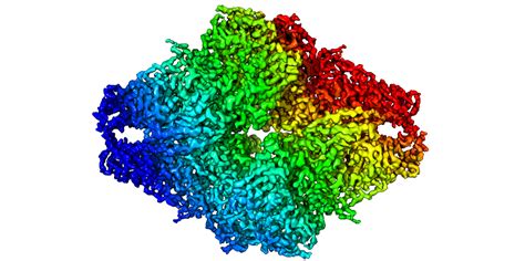 First 3.2 Å β-galactosidase structure solved by cryo-EM | Gatan, Inc.