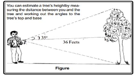 Indian Clinometer Survey