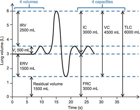 Chapter 12 – Static Lung Volumes | Anesthesia Key