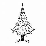 Pine Trees Coloring Pages sketch template
