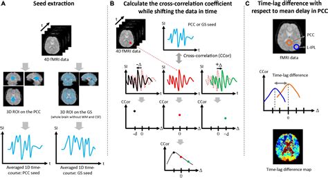 Frontiers | Separating neuronal activity and systemic low-frequency ...