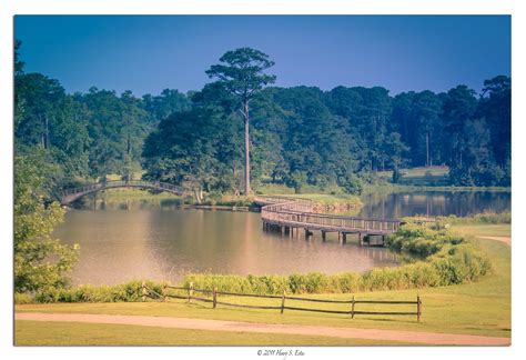 Henry S. Estes Photography: Bridges of Callaway