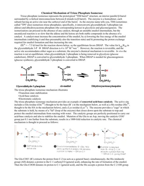 Chemical Mechanism of Triose Phosphate Isomerase