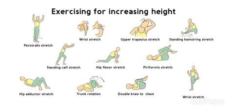 How to Increase Height Naturally | The World Beast