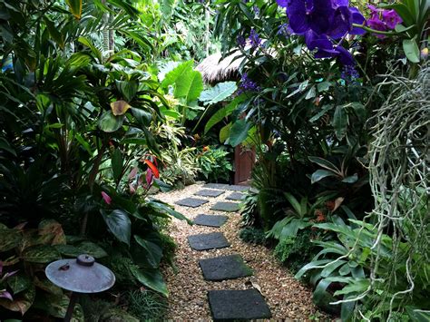 Tropical Garden,tropical path | Small tropical gardens, Tropical garden, Tropical landscaping