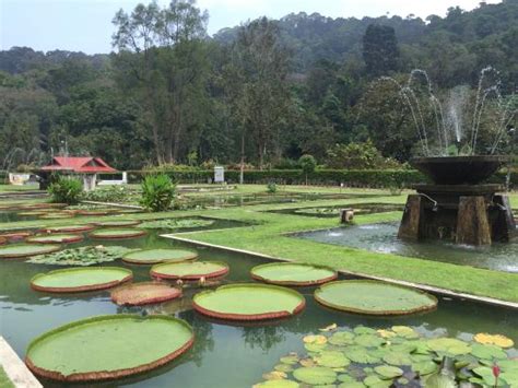 Favorite place in Penang - Review of Penang Botanical Gardens, George ...