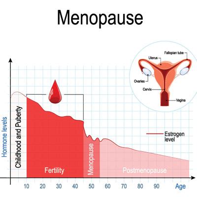 Hormone Replacement Therapy After Hysterectomy