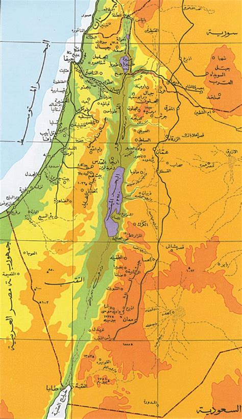 الاحتلال يسيطر على أكثر من 85% من فلسطين التاريخية | فلسطين أون لاين