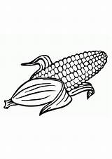 Coloring Pages  Printable Corn sketch template