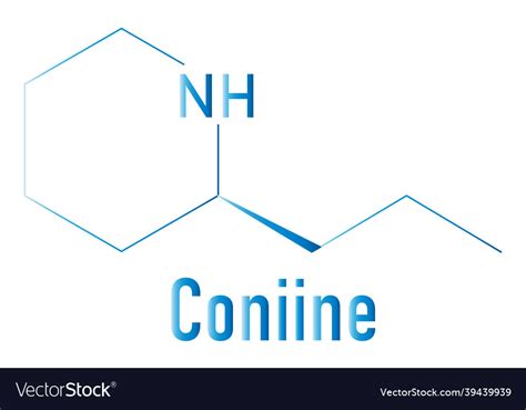 Coniine toxin molecule skeletal formula Royalty Free Vector