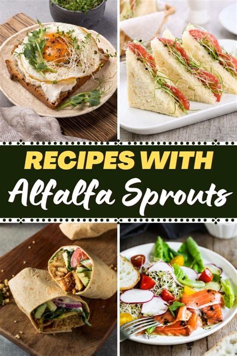 17 Easy Recipes with Alfalfa Sprouts - Insanely Good