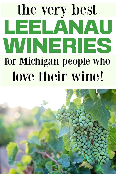 Best Leelanau Peninsula Wineries and Vineyards Guide - Meet Me in Michigan