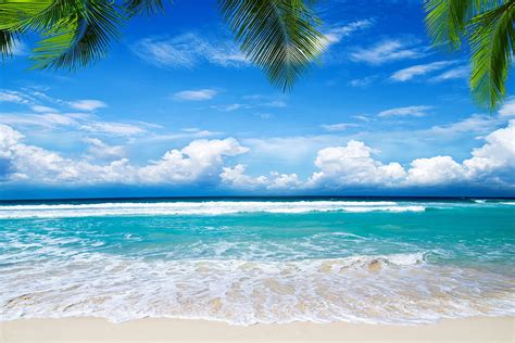 Nice Morning, blue, sky, nature, beach HD wallpaper | Pxfuel